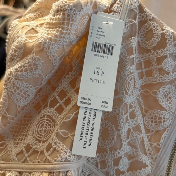 By Anthropologie Lace Basque-Waist Mini Dress - Picture 6 of 6